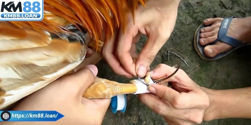 Hướng dẫn cách băng đúng