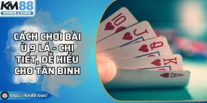 Cách Chơi Bài Ù 9 Lá - Chi Tiết, Dễ Hiểu Cho Tân Binh