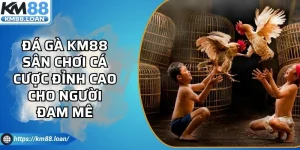 Đá Gà Km88 Sân Chơi Cá Cược Đỉnh Cao Cho Người Đam Mê