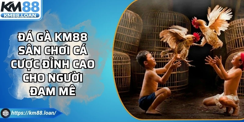 Đá Gà Km88 Sân Chơi Cá Cược Đỉnh Cao Cho Người Đam Mê