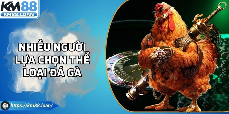 Nhiều người lựa chọn thể loại đá gà