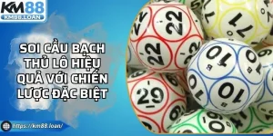 Soi Cầu Bạch Thủ Lô Hiệu Quả Với Chiến Lược Đặc Biệt